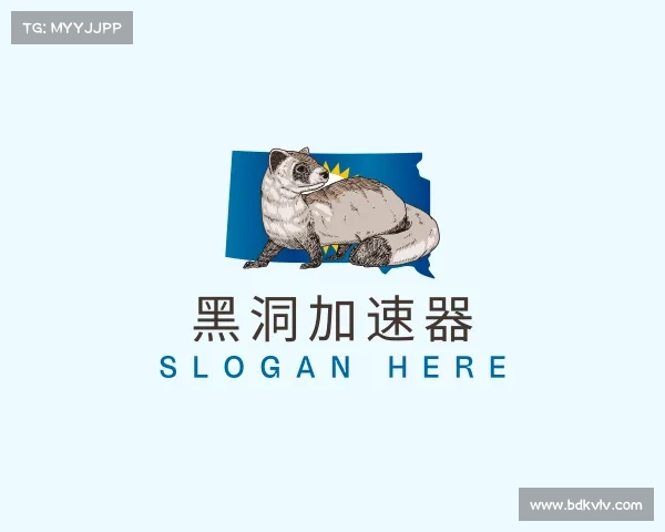 认识黑洞加速器